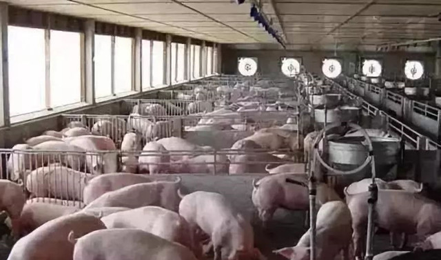 ����������ԭ��Ԥ����ʩ