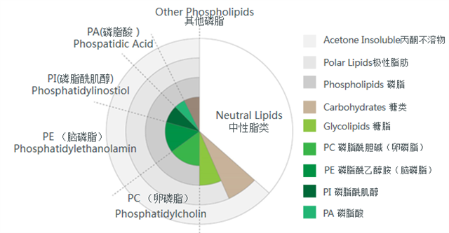 �������Ӽ�