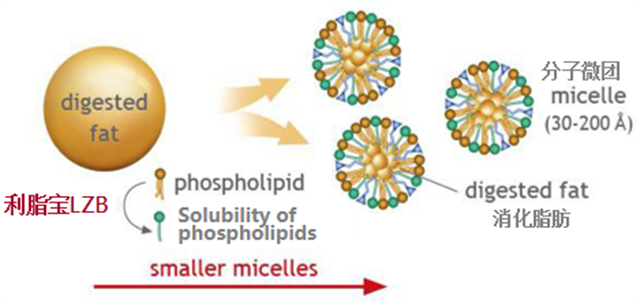 �������Ӽ�