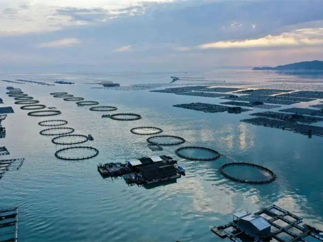 �л�΢��Ԫ���ǻ�������п���ص㼰��ˮ�������ϵ�Ӧ��