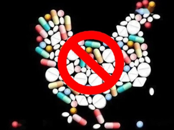 ��������������ϲ�ǲΰ룻�����Ż��������ƽ�������������