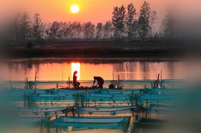 ˮ��΢��Ԫ���ٲ�