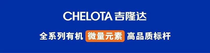 fun88������ҳ����