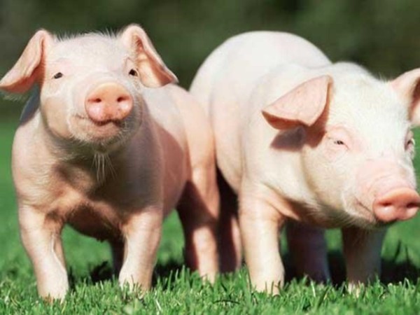 �ʰ���������������ʹ����ʲô�ô����б�Ҫȫ�����������������