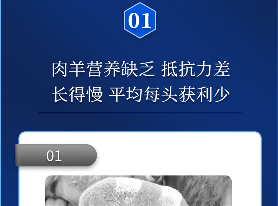 fun88������ҳ�������������Ӽ��������Ʒ����