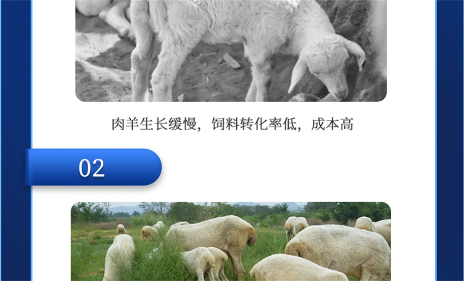 fun88������ҳ�������������Ӽ��������Ʒ����