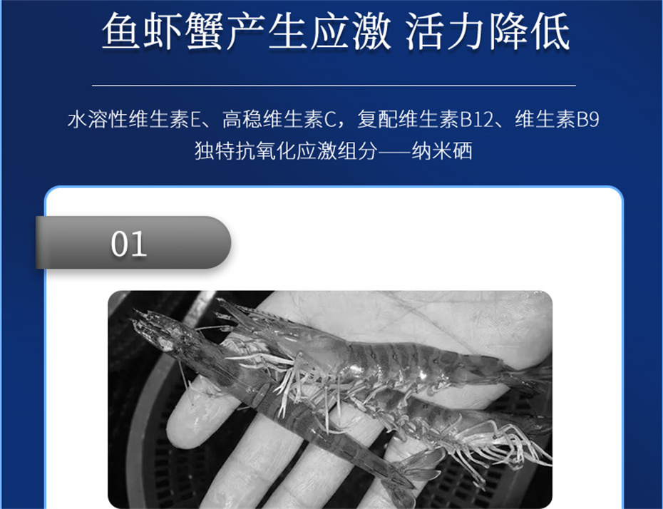 fun88������ҳ����ˮ���������Ӽ�����1�Ų�Ʒ����