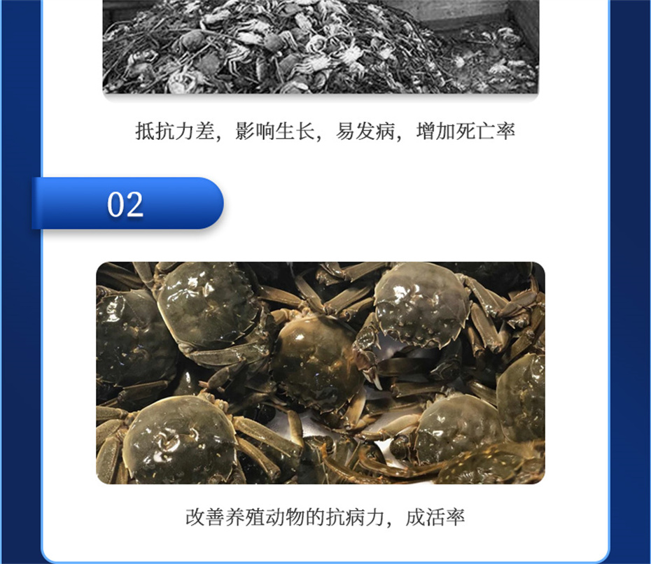 fun88������ҳ����ˮ���������Ӽ�����1�Ų�Ʒ����