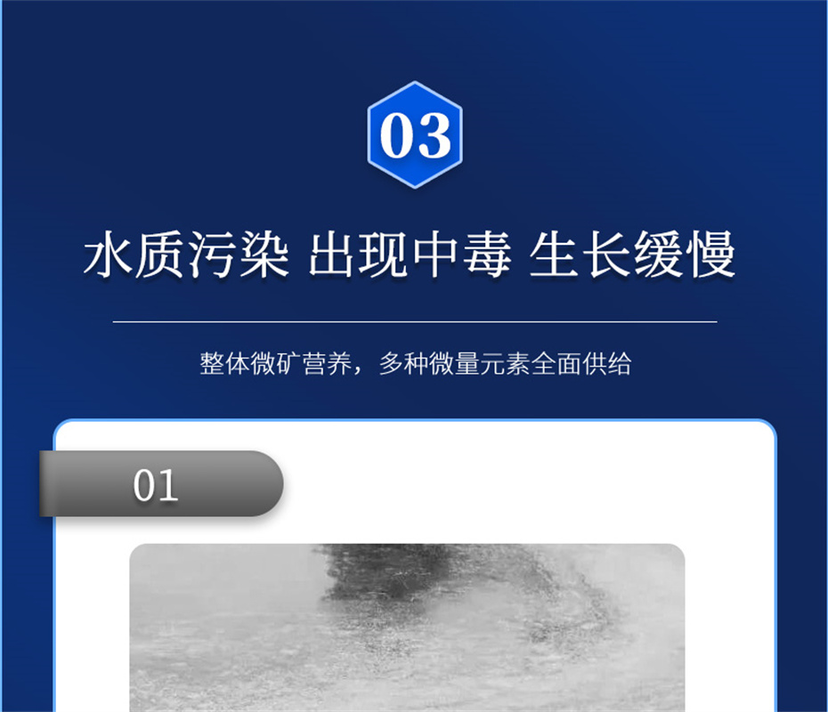 fun88������ҳ����ˮ���������Ӽ�����1�Ų�Ʒ����