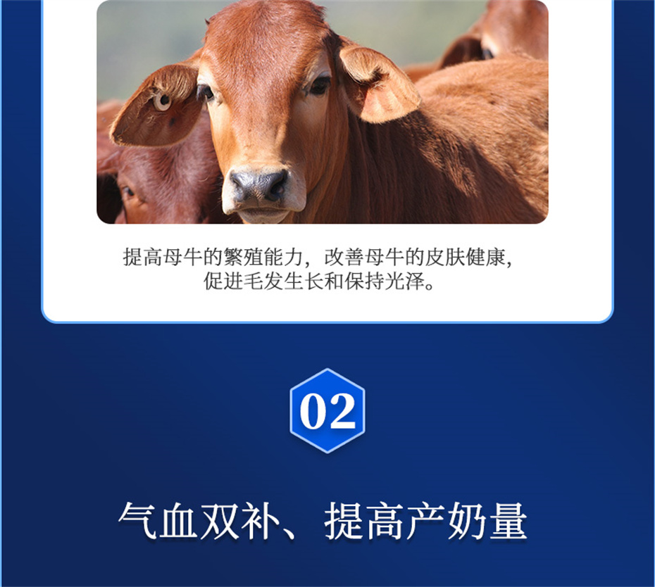 fun88������ҳ����ţ���������Ӽ�����Ѫţ���Ʒ����