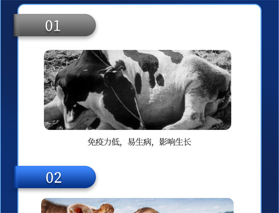 fun88������ҳ����ţ���������Ӽ�����Ѫţ���Ʒ����