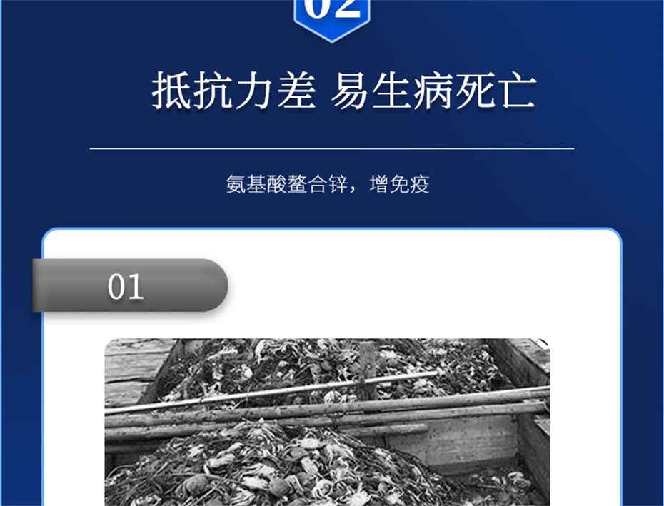 fun88������ҳ����ˮ���������Ӽ�Ϻ������Ʒ����