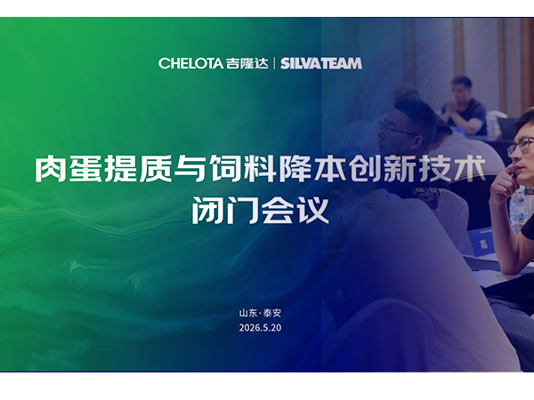 ������ | CHELOTAfun88������ҳ&�����ʩ�����⵰���������Ͻ������¼������Ż�Բ������