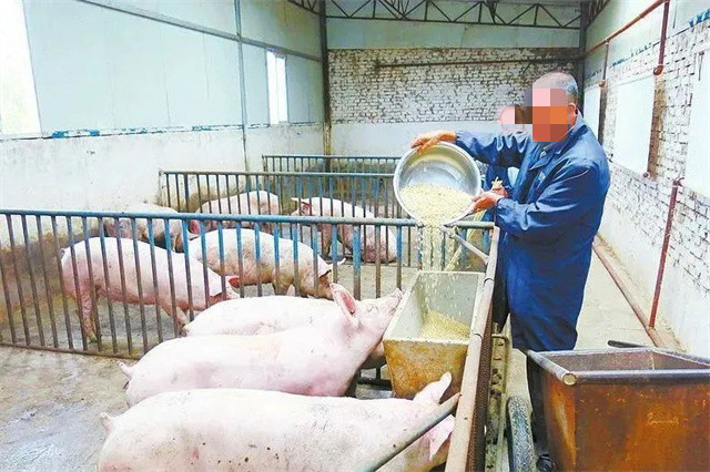 �������Ӽ�