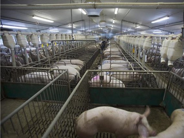 ����������