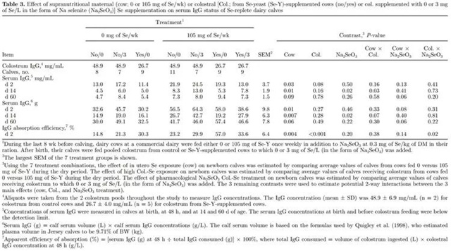 �������Ӽ�