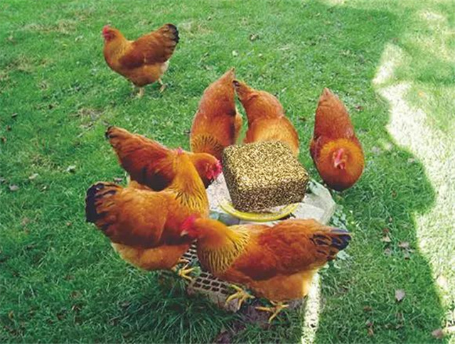 �������Ӽ�