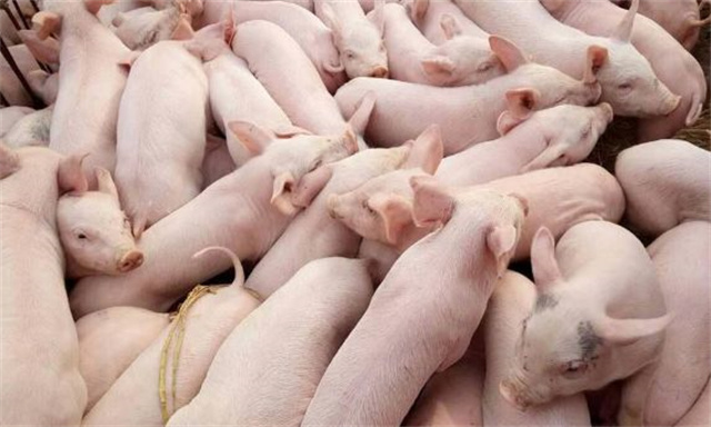 ��������-����ʡ��