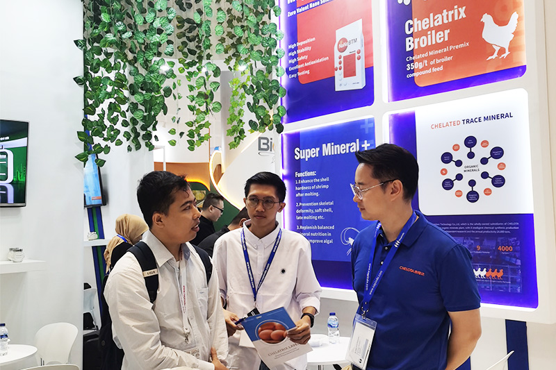 fun88������ҳ��չӡ���������չ