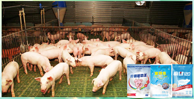 fun88������ҳ�����������Ӽ�