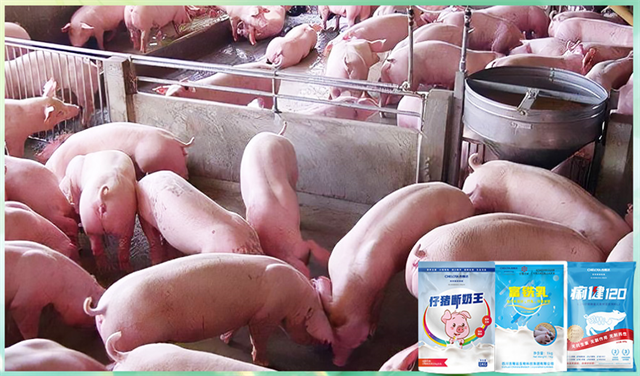 fun88������ҳ�����������Ӽ�