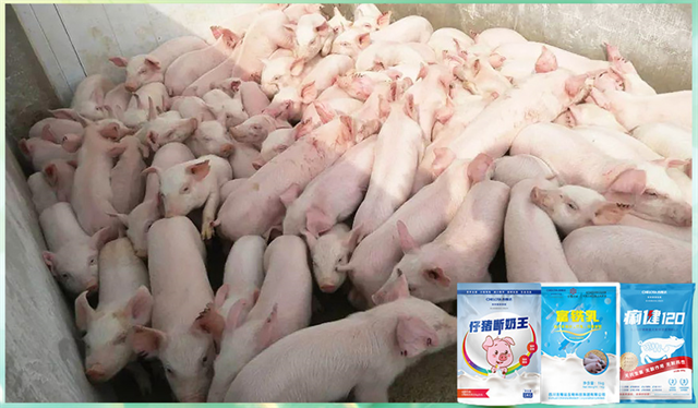 fun88������ҳ�����������Ӽ�