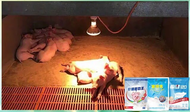 fun88������ҳ�����������Ӽ�