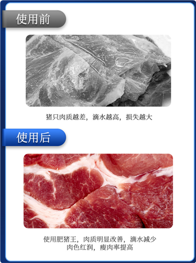 fun88������ҳ-������ʹ��Ч��