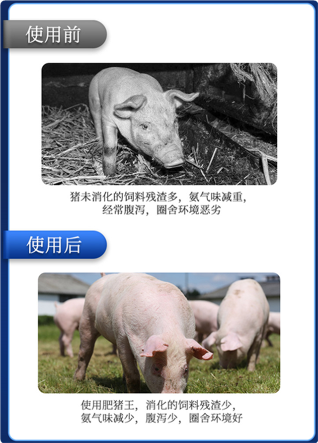 fun88������ҳ-������ʹ��Ч��