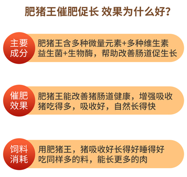 fun88������ҳ-������ʹ��Ч��Ϊʲô��