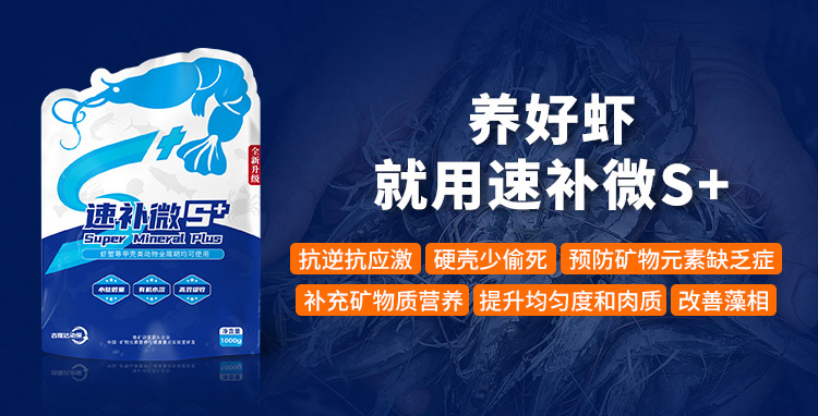 ����Ϻ�������ٲ�΢s+