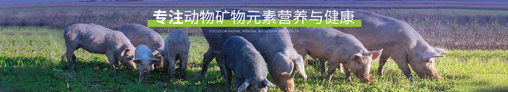 �߽�fun88������ҳ