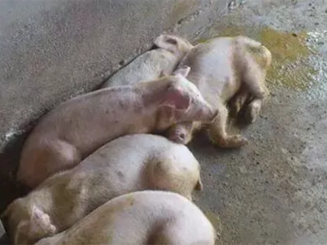 ������������2022�궬����������������к֢״�������������������ղأ�