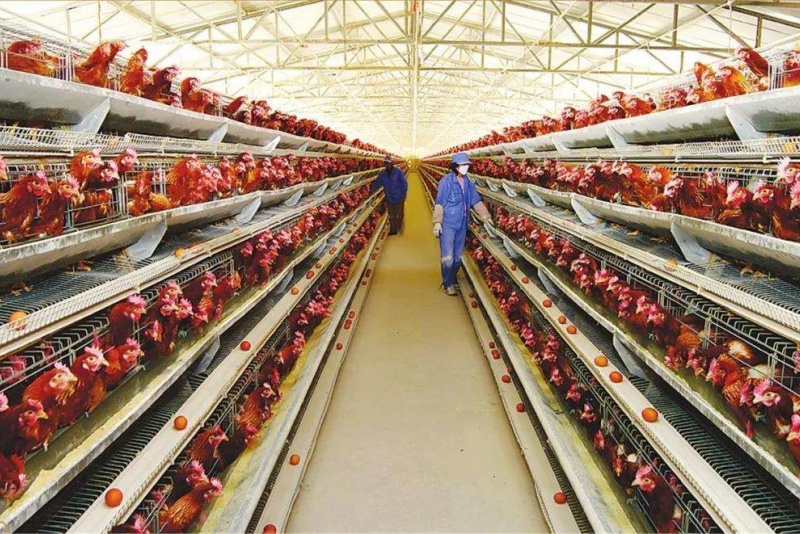 ������������