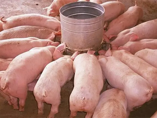 ��������Ҫ���������׶ε��ص�