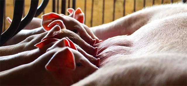 fun88������ҳ�������п��Ӧ��