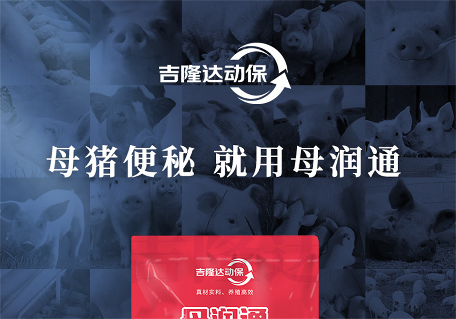 fun88������ҳ�������������Ӽ�ĸ��ͨ��Ʒ����