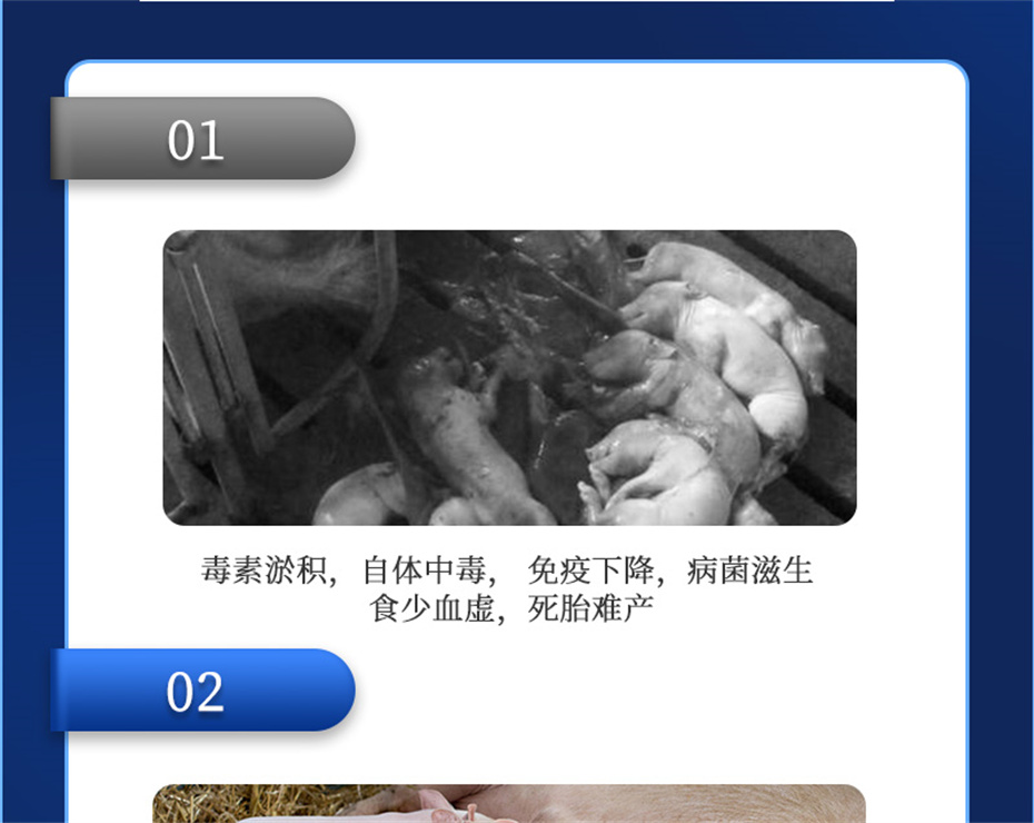 fun88������ҳ�������������Ӽ�ĸ��ͨ��Ʒ����