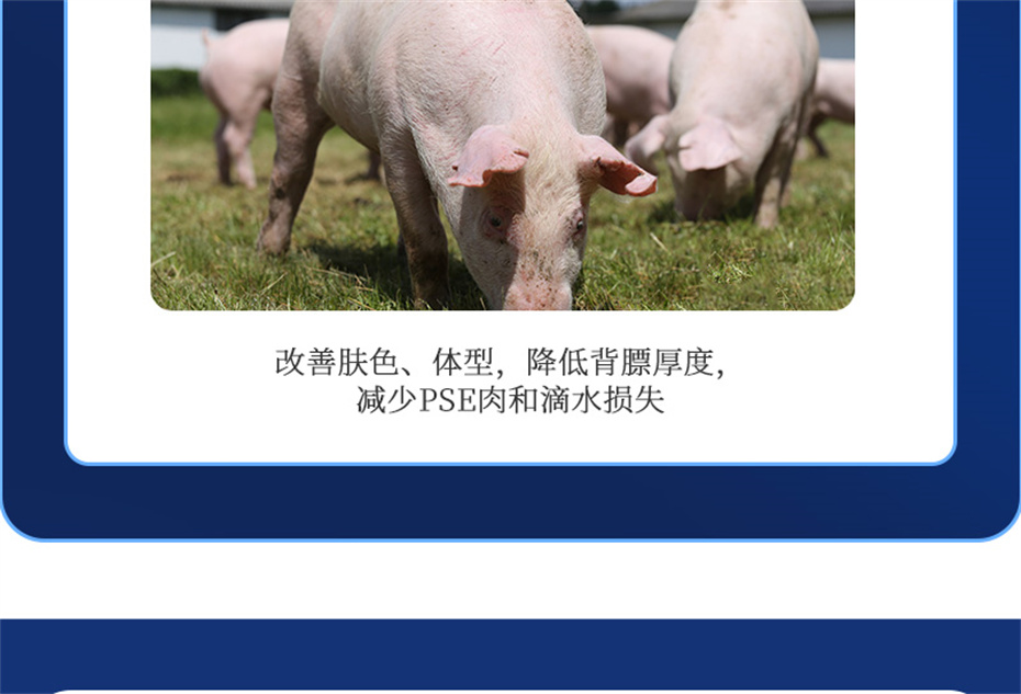 fun88������ҳ�������������Ӽ�ĸ��ͨ��Ʒ����