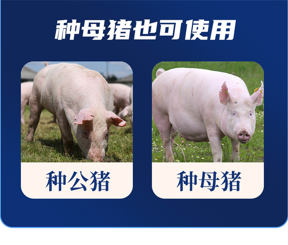 fun88������ҳ�������������Ӽ���ֳ����Ʒ����