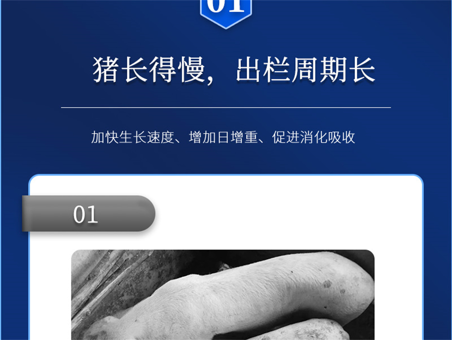 fun88������ҳ�������������Ӽ���������Ʒ����