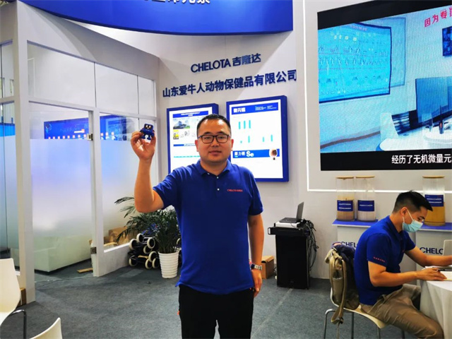 fun88������ҳ����IP���󡰴󼪡�