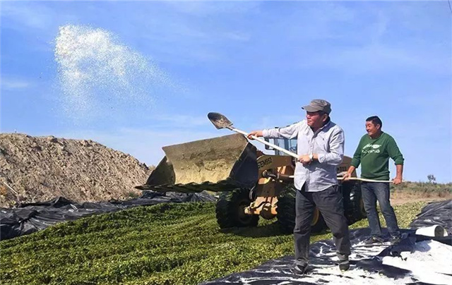 �������Ӽ�