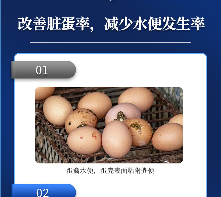 fun88������ҳ�������������Ӽ�ǿ�Ǳ���Ʒ����