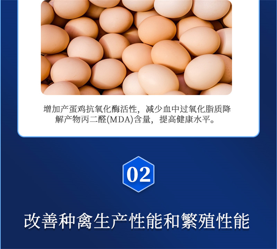 fun88������ҳ�������������Ӽ�����Ѫ�ݲ�Ʒ����