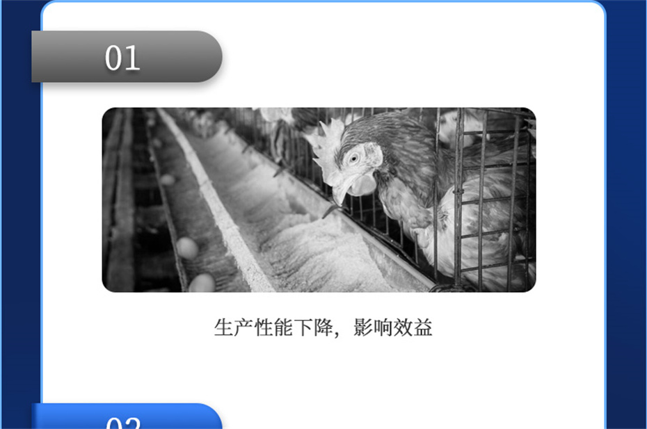 fun88������ҳ�������������Ӽ�����Ѫ�ݲ�Ʒ����