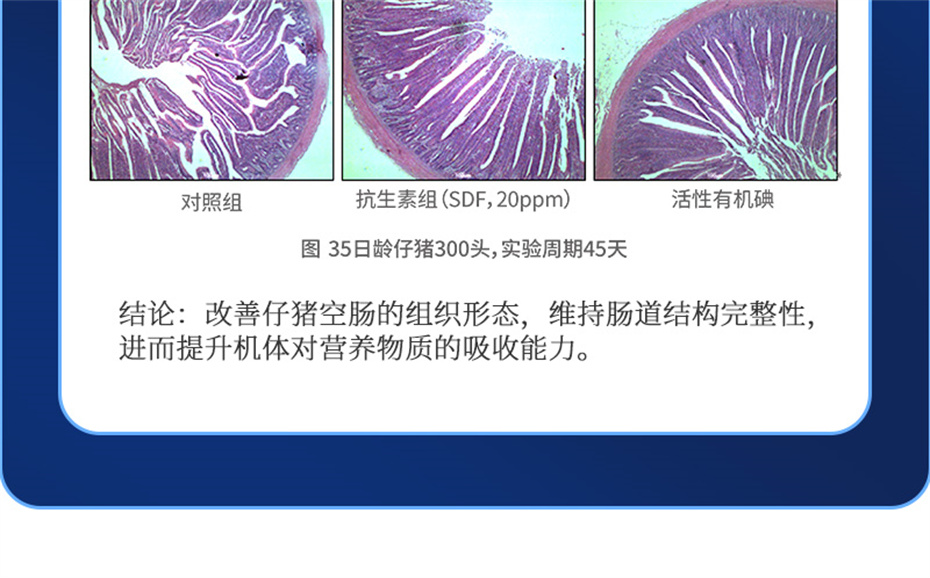 fun88������ҳ�������������Ӽ�����120��Ʒ����