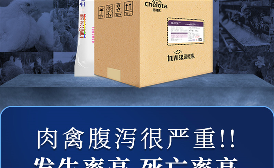 fun88������ҳ�������������Ӽ����ﱦ��Ʒ����