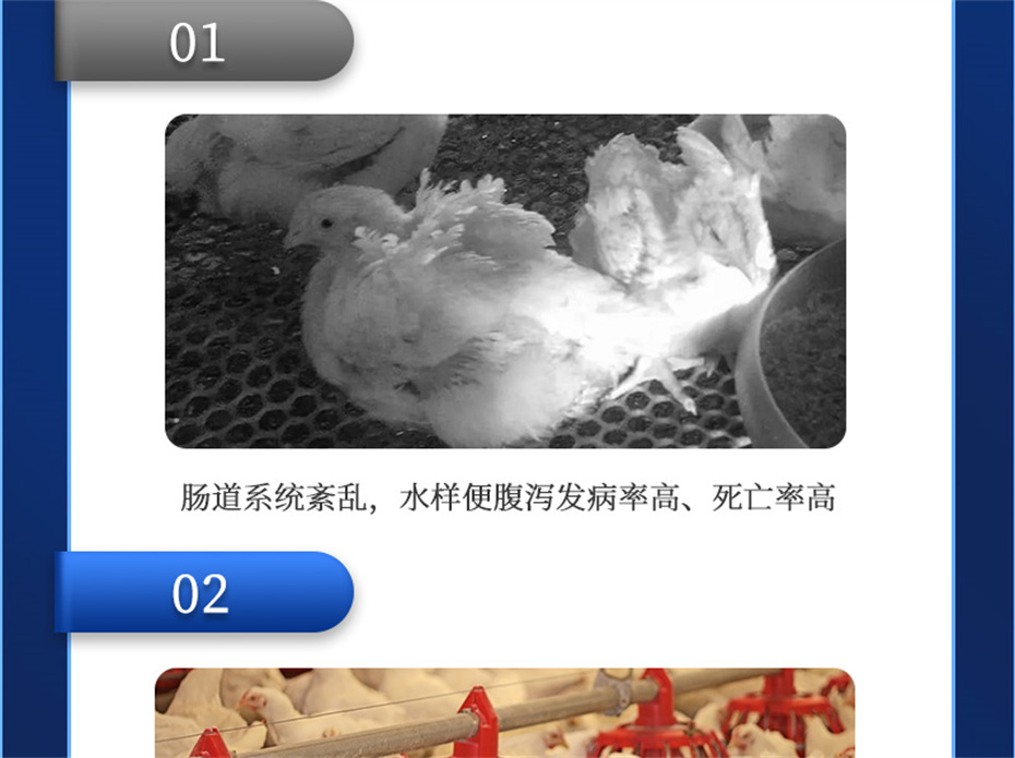 fun88������ҳ�������������Ӽ����ﱦ��Ʒ����