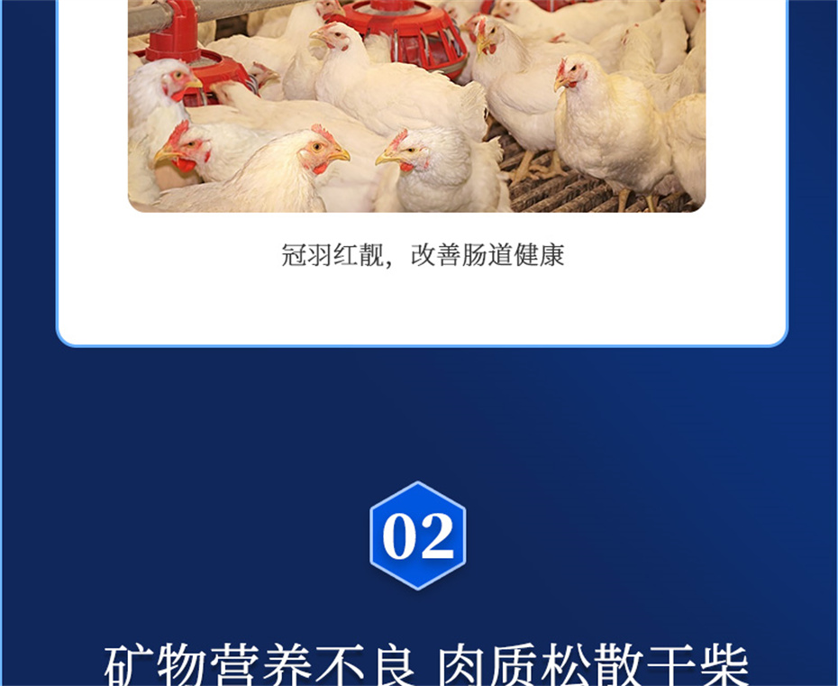 fun88������ҳ�������������Ӽ����ﱦ��Ʒ����